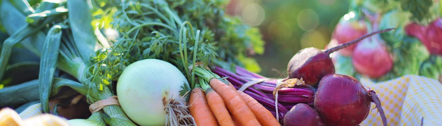 Home BioCare Deutschland